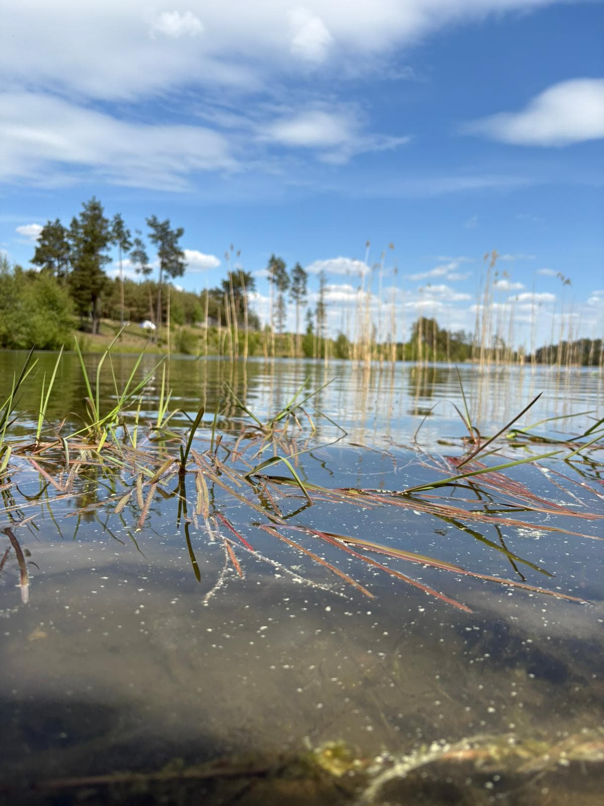 Piękny widok na łowisko