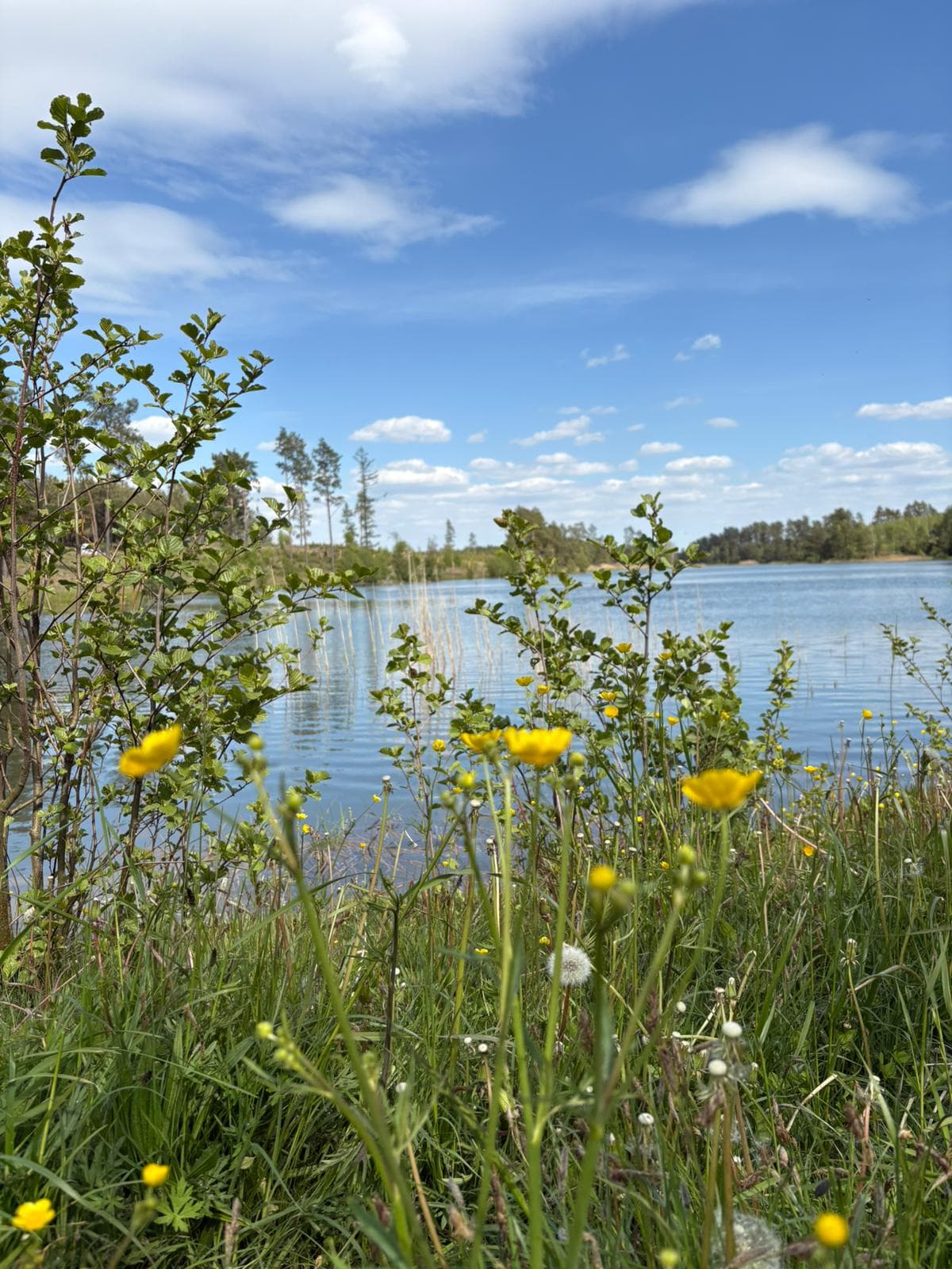 Natura wokół łowiska
